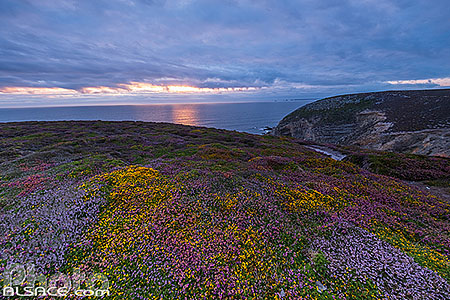 Photo : Cap de la Chèvre, Crozon, Parc naturel régional d'Armorique, Finistère (29), Bretagne, France