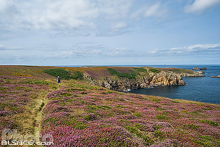 Photo : Ile d'Ouessant, Parc naturel régional d'Armorique, Finistère (29)