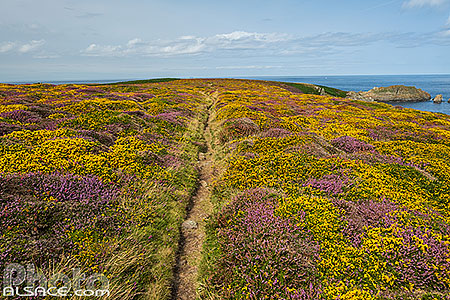 Photo : Ile d'Ouessant, Parc naturel régional d'Armorique, Finistère (29)