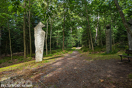 Photo : Mémorial du crash du vol Air Inter 148 au mont Sainte-Odile, Barr, Bas-Rhin (67)