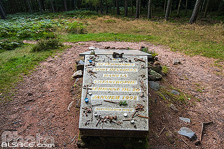 Photo : Mémorial du crash du vol Air Inter 148 au mont Sainte-Odile, Barr, Bas-Rhin (67)