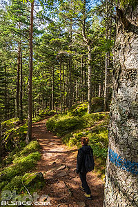 Photo : Sentier de randonnée le long du Mur Païen, La Bloss, Barr, Bas-Rhin (67)