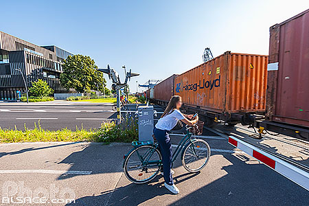 Photo : En attendant le passage du train de marchandise au passage à niveau de la rue du Port du Rhin, Strasbourg, Bas-Rhin (67), Alsace, France