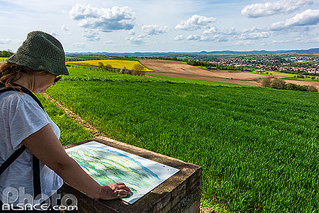 Photo : Point de vue du Geiersberg, Niedermodern, Bas-Rhin (67), Alsace, France
