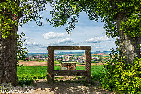 Photo : Point de vue du Geiersberg, Niedermodern, Bas-Rhin (67)