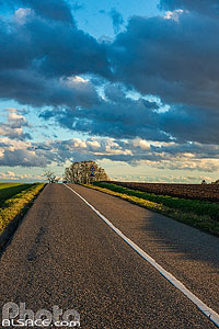 Photo : Route D221, Breuschwickersheim, Bas-Rhin (67)