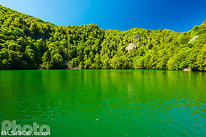 Photo : Le Lac des Perches (Sternsee) au printemps, Rimbach-près-Masevaux, Parc naturel régional des Ballons des Vosges, Haut-Rhin (68), Alsace, France