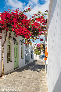 Photo : Village d'Apollonia sur l'Ile de Sifnos, Archipel des Cyclades, Grèce, Égée-Méridionale, Grèce