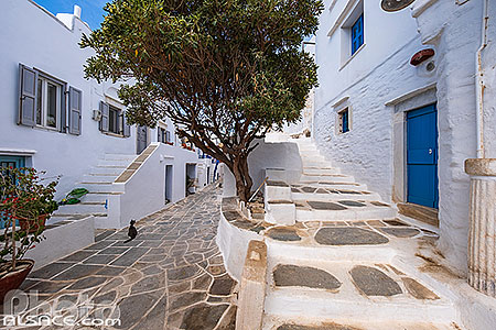 Photo : Village pittoresques de Kastro ancienne capitale de l'île de Sifnos, Archipel des Cyclades, Grèce, Égée-Méridionale, Grèce